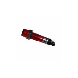 Foco Neón Plástico 12V plástico Rojo
